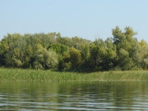 В Большом Иргизе под Балаковом утонул мужчина