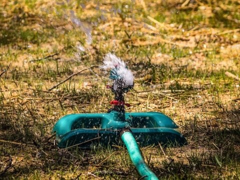 Прокуратура пригрозила коммунальщикам за отключение воды у саратовских дачников