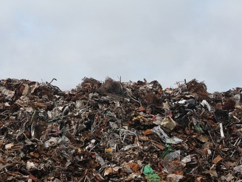 Саратовцев предупреждают об изменении системы оплаты за вывоз мусора