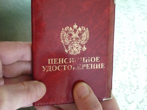 В Татарстане собрали 29 тысяч подписей к письму Володину против пенсионной реформы