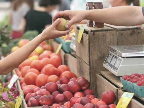 Ветеринары уберегли саратовцев от 19,5 тонн опасных продуктов