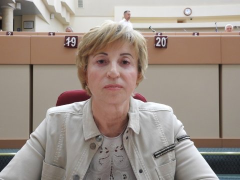 Самсонова заявила о вине депутатов в исчезновении авиаперевозчика в Саратове