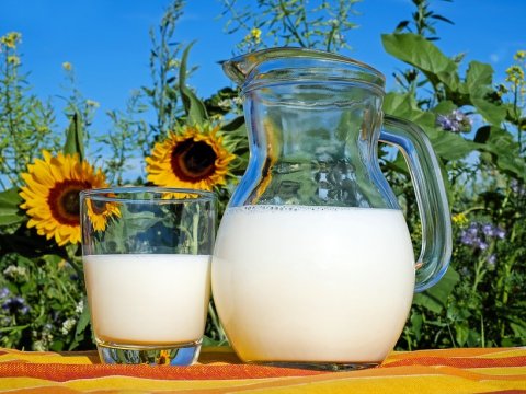 Таможенный союз разрешил разбавлять молоко растительным жиром