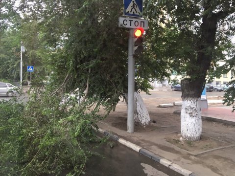На улице Серова в Саратове упавшая ветка перегородила проезжую часть 