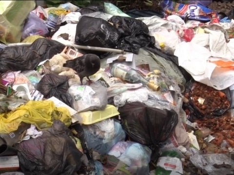 Саратовцы страдают от несогласования сроков работы мусоровывозящих компаний