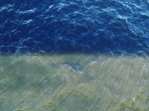 В Саратовской области нашли 16 пляжей с грязной водой