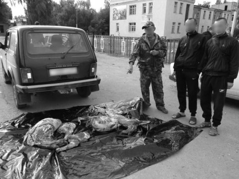 В Марксе полиция задержала предполагаемых убийц оленя и сибирской косули