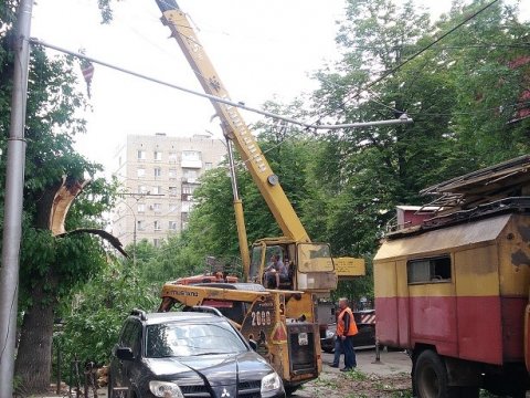 С дороги на Кутякова убрали рухнувшее десятиметровое дерево