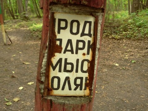 Название саратовской деревни признано одним из самых веселых в России