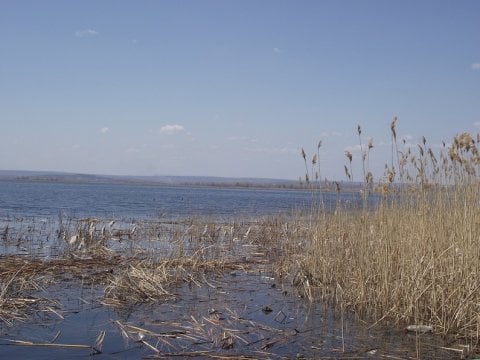 Следователи установят причины смерти жителя Лысых Гор в Медведице