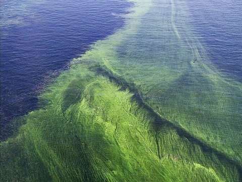 Двум сотням жителей Елшанки вернули воду из пруда