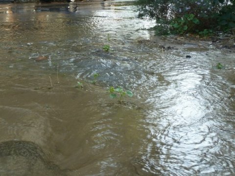 Саратовская вода. Кировский район без воды. Водоснабжение Саратов Кировский район телефон.