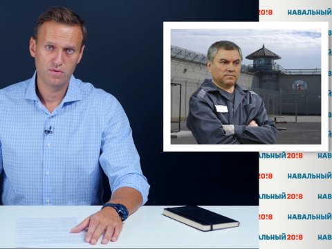 Навальный пожелал «обнаглевшему Володину» уехать к спортплощадке за колючей проволокой