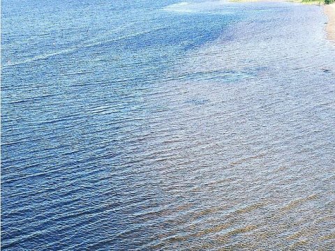 На пляжах под Саратовом оказалась самая грязная вода