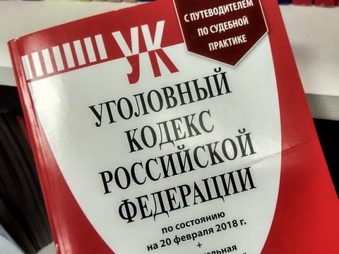 В Москве по обвинению в создании экстремистской организации арестовали 18-летнего Германа Ткачева