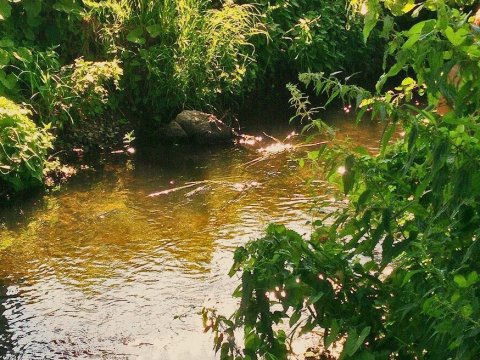 Под Саратовом реку Курдюм незаконно перекрыли земляной дамбой