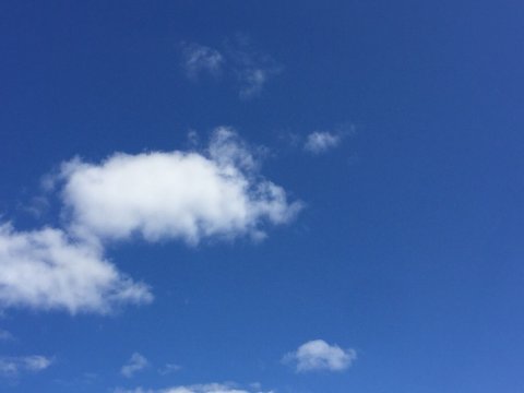 В Саратове ожидается +26 градусов тепла
