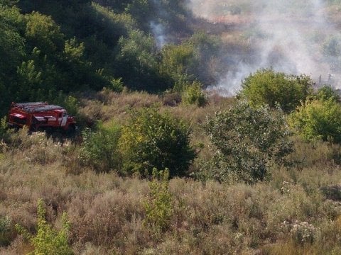 В Энгельсском районе семь часов тушили лесной пожар