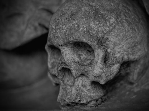 В Хвалынске отправлен на исследование детский череп из массового захоронения