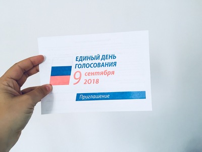 На довыборах депутатов Госдумы проголосовал каждый пятый саратовец