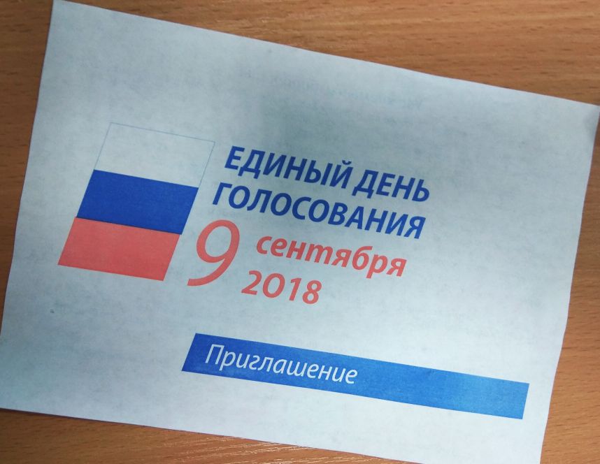 В Саратовской области завершилось голосование 