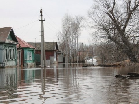 Областные власти отказали в восстановлении петровского моста после паводка