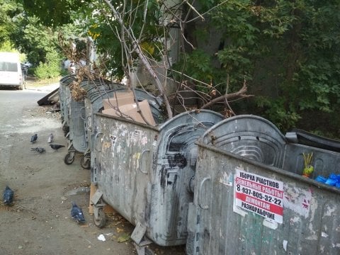 Саратовские мусорщики попросили не выбрасывать ветки в контейнеры для бытовых отходов