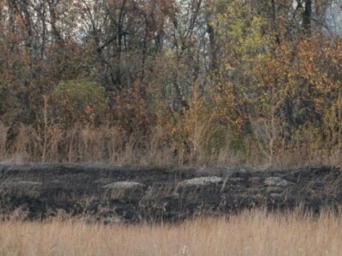 Под Марксом шесть часов тушили солому 