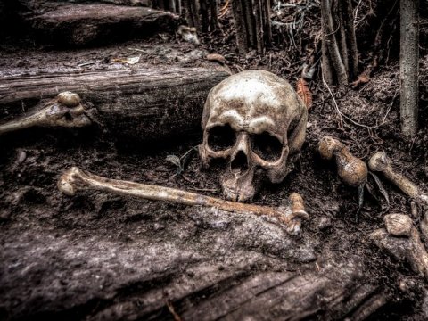 В одном из дворов Энгельса нашли человеческий скелет