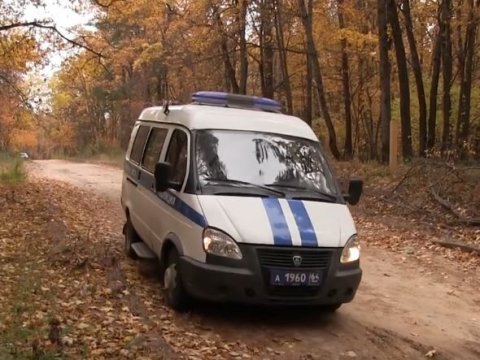 В Базарно-Карабулакском районе полицейские вывели заблудившуюся пенсионерку из леса