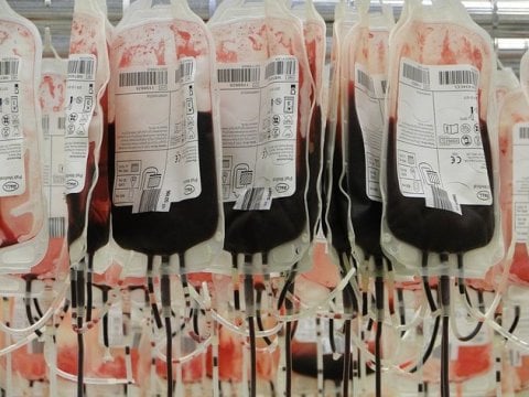 Около сотни саратовцев сдали 52 литра крови после трагедии в Керчи