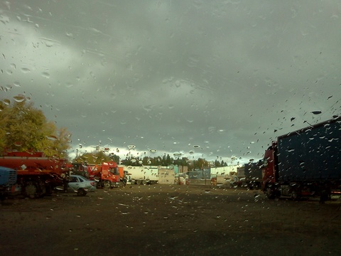 В Саратове вероятен дождь при прохладной погоде