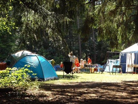 Саратовстат: За год в области появилось 10 детских лагерей