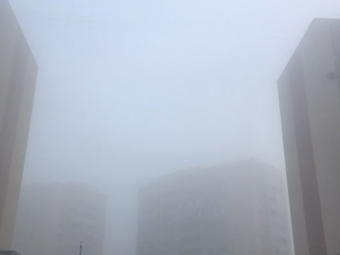 В Саратовской области утром вновь ожидается туман
