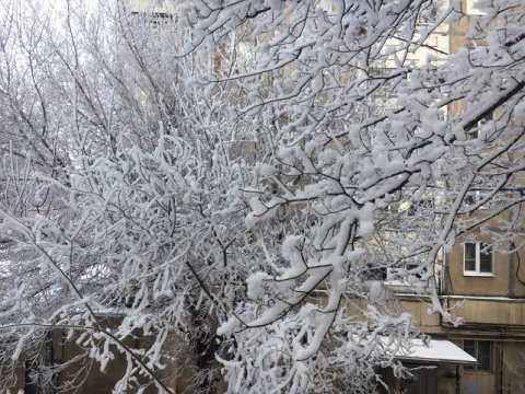 МЧС предупреждает саратовцев о надвигающемся снегопаде