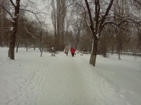 В Саратовской области ожидается снег и гололедица