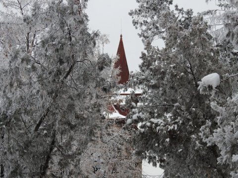 Болтухин обещает саратовцам три дня снегопадов