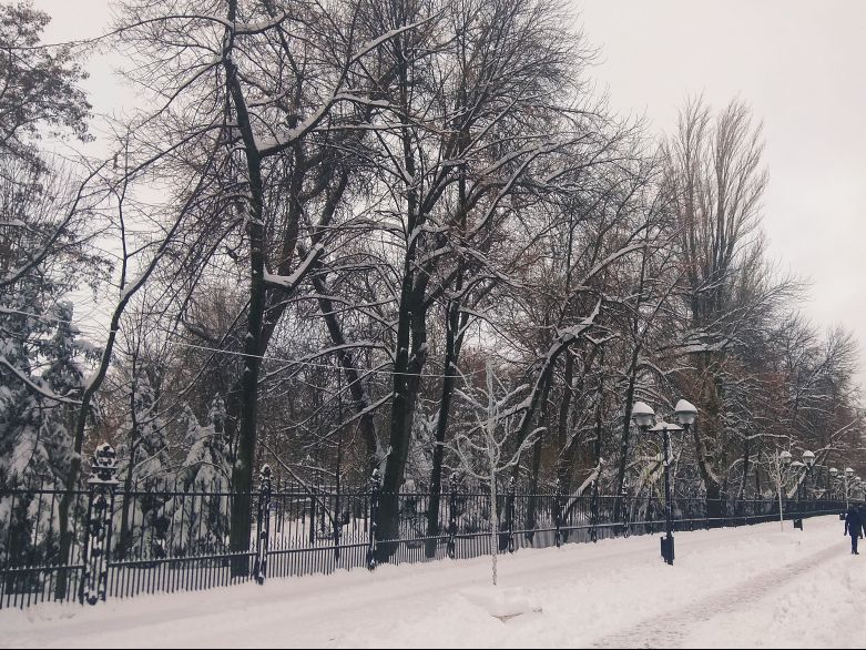 МЧС предупреждает жителей Саратовской области о сильном ночном снегопаде