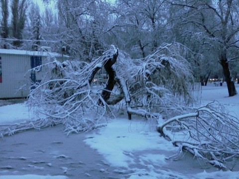 В Саратовской области резко похолодает до -14 градусов