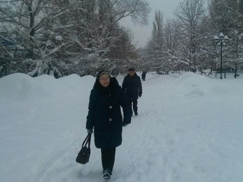 Мэрия обещает расчистить от снега саратовские парки и скверы