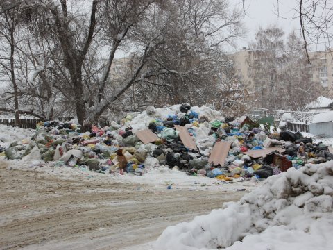 Ответственного за Саратов руководителя из Роспотребнадзора наказали за бездействие в решении проблем с мусором