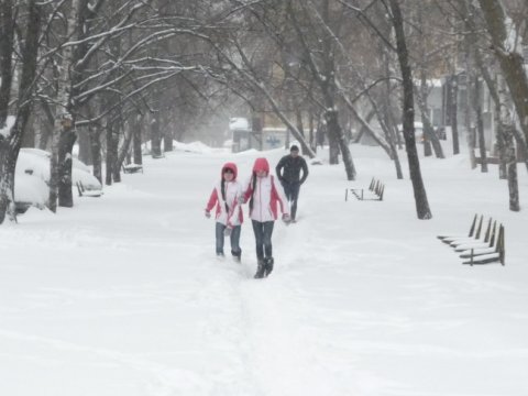 Занятия в школах Саратова на завтра отменены