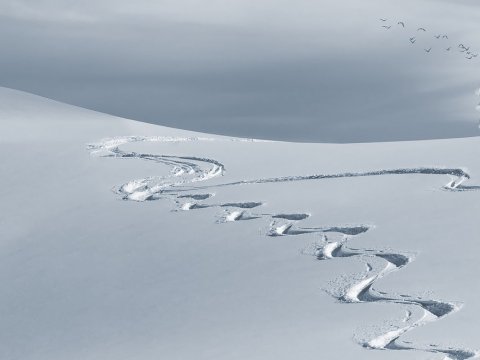 Синоптики не прогнозируют в Саратове длительного снегопада