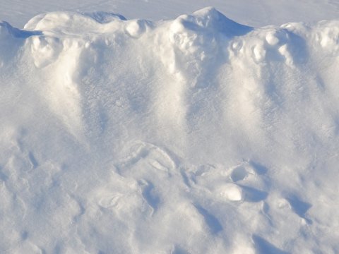 Микрорайон в Дергачах по пояс завален снегом