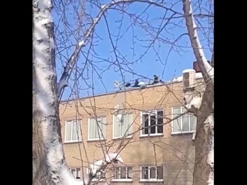 Саратовцы заподозрили, что крышу гимназии №87 чистят дети