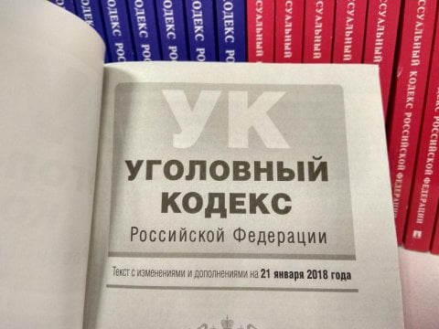 В Саратове двух братьев оправили в колонию за нападение на маленьких мальчиков