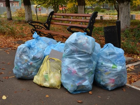 Областная прокуратура внесла представление главе Ртищевского района за отсутствие мусорных баков