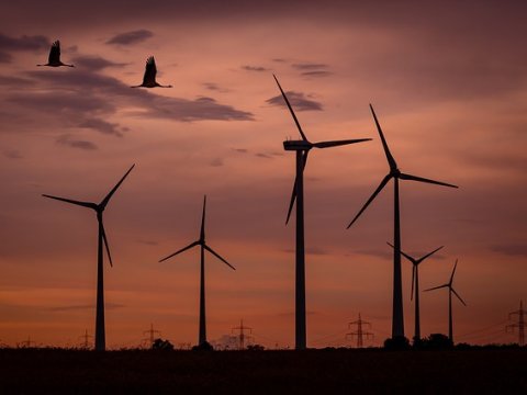 Радаев подписал с «УК «Ветроэнергетика» соглашение о намерениях построить ветропарк