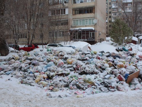 В марте на контейнерных площадках ТКО в Саратове появятся графики вывоза мусора