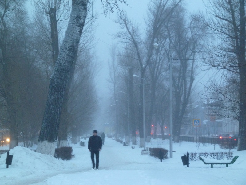 МЧС предупреждает саратовцев о сильном ветре, тумане и мокром снеге